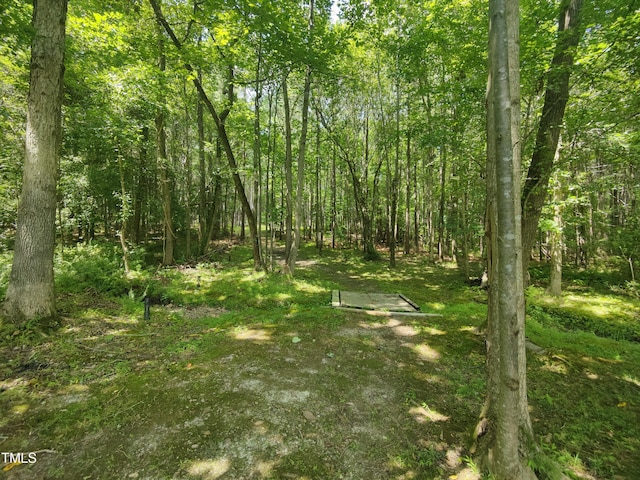 181 Inverness St, Zebulon, NC 27597 - photo 59