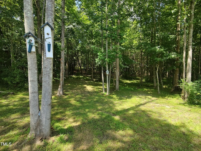 181 Inverness St, Zebulon, NC 27597 - photo 58