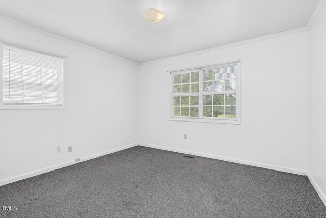 463 Lynch Cemetery Rd, Hollister, NC 27844 - photo 21
