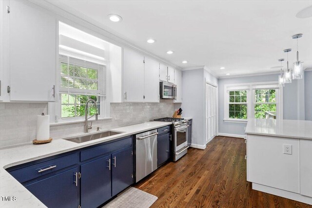 1920 Quail Ridge Rd, Raleigh, NC 27609 - kitchen with stainless steel appliances, blue cabinetry, white cabinets, dark wood finished floors, and crown molding