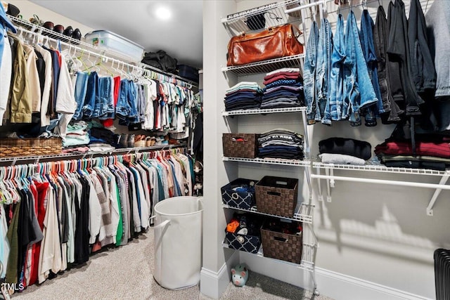 2981 Thurman Dairy, Wake Forest, NC 27587 - spacious closet with carpet