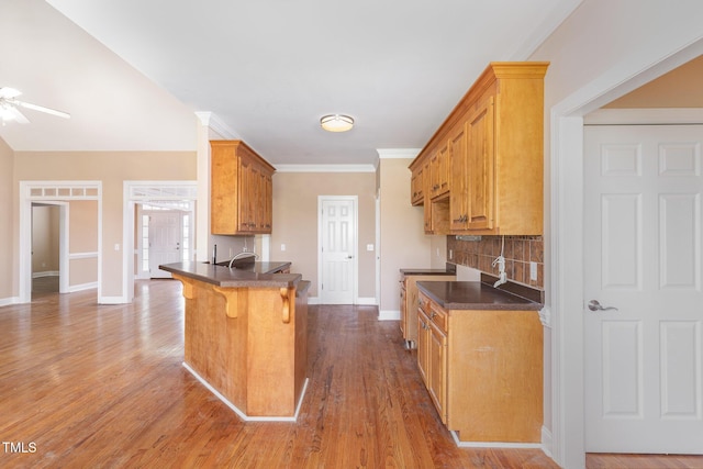 145 Adams Pointe Ct, Angier, NC 27501 - kitchen featuring dark countertops, a kitchen breakfast bar, a peninsula, tasteful backsplash, and ceiling fan