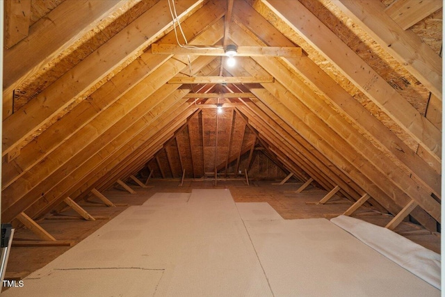 3728 Westbury Lake Dr, Raleigh, NC 27603 - view of attic