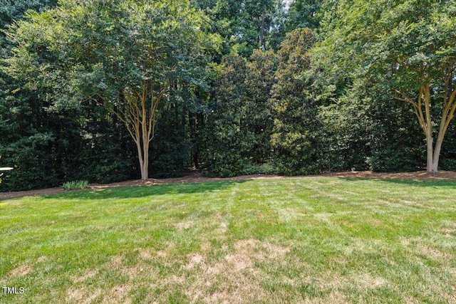 3728 Westbury Lake Dr, Raleigh, NC 27603 - view of green lawn