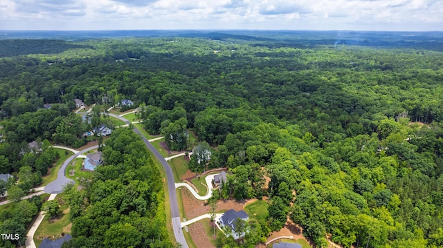 541 Sunset Grove Dr, Pittsboro, NC 27312 - photo 72
