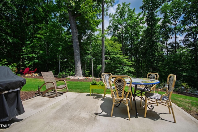 541 Sunset Grove Dr, Pittsboro, NC 27312 - photo 56