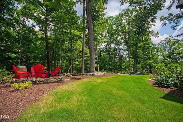 541 Sunset Grove Dr, Pittsboro, NC 27312 - photo 57