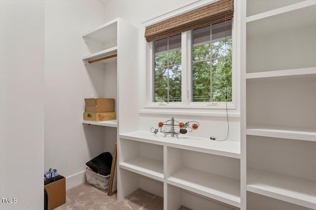 1103 Roosevelt Dr, Chapel Hill, NC 27514 - spacious closet featuring carpet