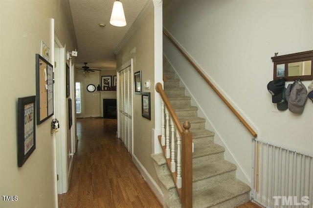 1218 Shadowbark Ct, Raleigh, NC 27603 - photo 4