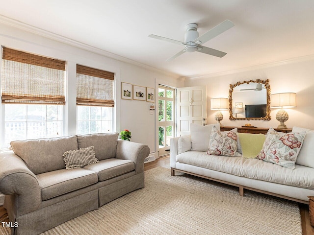 1813 Ridley St, Raleigh, NC 27608 - photo 9
