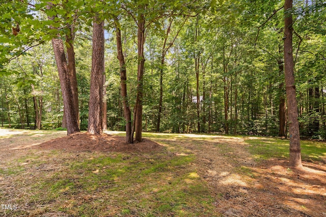 13004 Hanford Ct, Raleigh, NC 27614 - view of yard with a wooded view