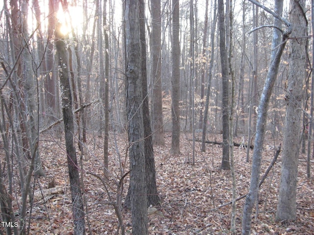 2979 Creek Point Pl, Graham, NC 27253