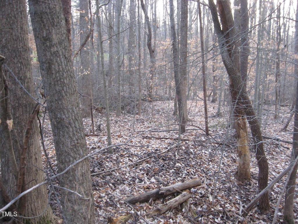 2979 Creek Point Pl, Graham, NC 27253