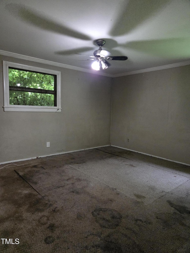 1812 Birmingham Ave, Durham, NC 27704 - photo 4