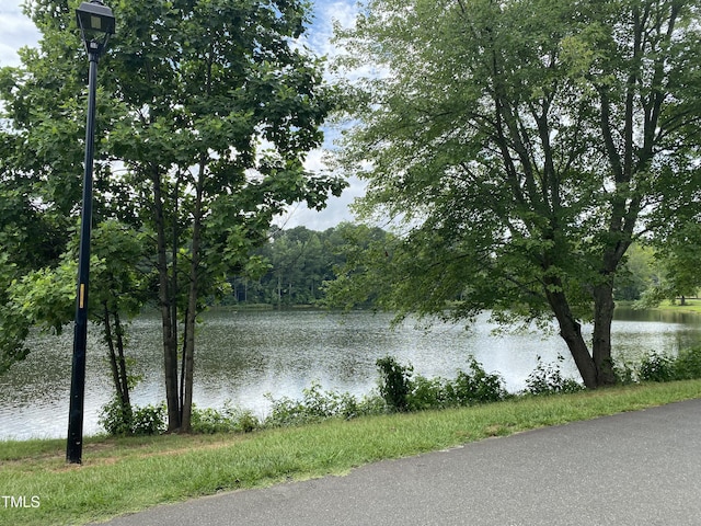 135 Meadow Lake Dr, Youngsville, NC 27596 - water view