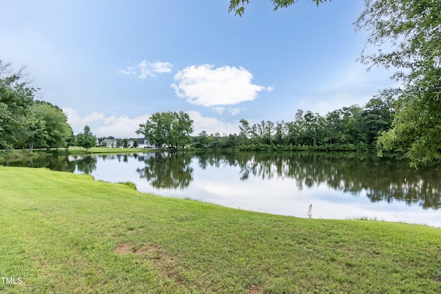 135 Meadow Lake Dr, Youngsville, NC 27596 - photo 51