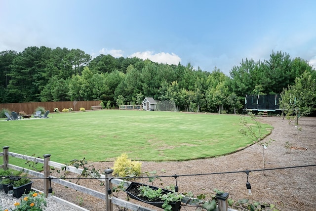 135 Meadow Lake Dr, Youngsville, NC 27596 - photo 47