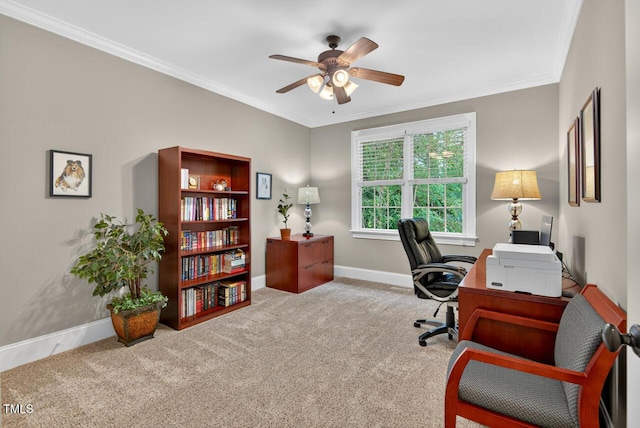 3748 Knollcreek Dr, Apex, NC 27539 - home office featuring a ceiling fan, carpet, and ornamental molding