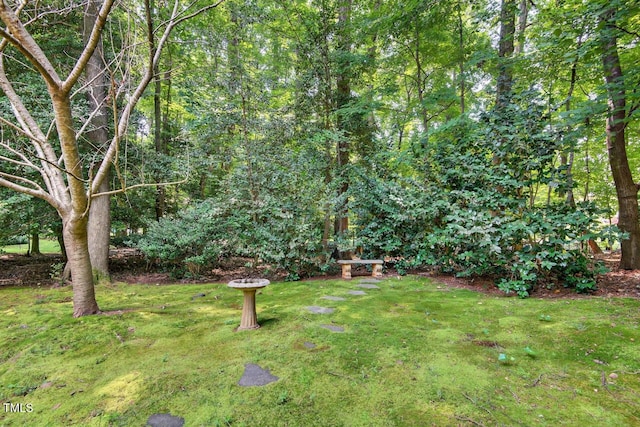 3748 Knollcreek Dr, Apex, NC 27539 - view of grassy yard