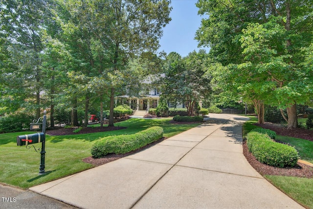 3748 Knollcreek Dr, Apex, NC 27539 - surrounding community with a lawn and driveway