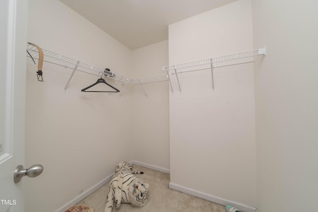 213 Irving Way, Durham, NC 27703 - photo 17
