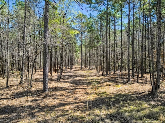 Dobbin Holmes Rd, Eastover, NC 28312