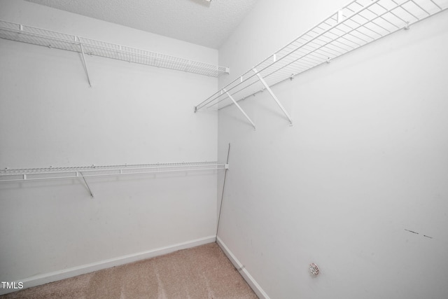 413 S Fayetteville St, Clayton, NC 27520 - spacious closet with carpet flooring