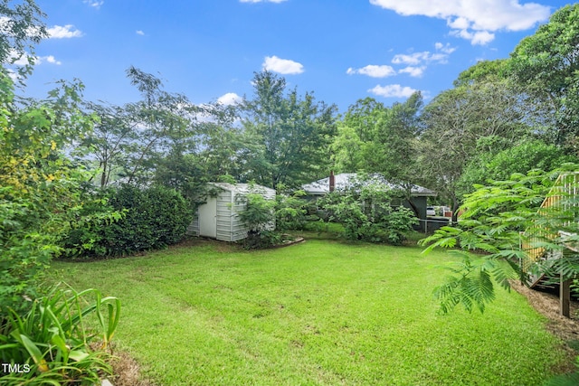 413 S Fayetteville St, Clayton, NC 27520 - view of yard featuring a storage unit