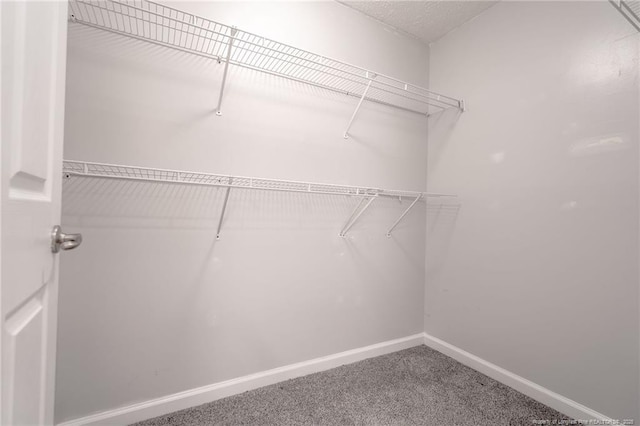 3314 Harbour Pointe Pl Unit 8, Fayetteville, NC 28314 - spacious closet featuring carpet flooring