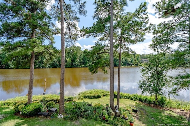 3314 Harbour Pointe Pl Unit 8, Fayetteville, NC 28314 - water view