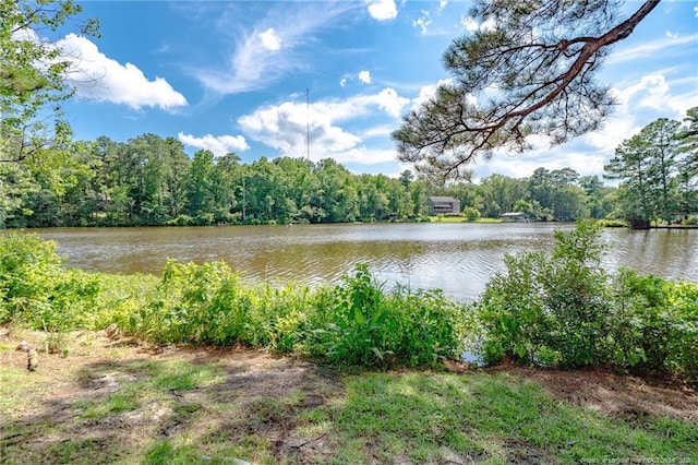 3314 Harbour Pointe Pl Unit 8, Fayetteville, NC 28314 - water view with a forest