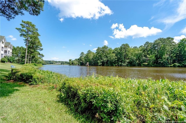 3314 Harbour Pointe Pl Unit 8, Fayetteville, NC 28314 - water view featuring a forest