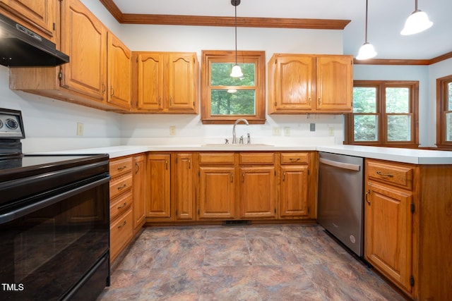 5020 Celbridge Pl, Raleigh, NC 27613 - kitchen featuring black range with electric cooktop, dishwasher, under cabinet range hood, crown molding, and pendant lighting