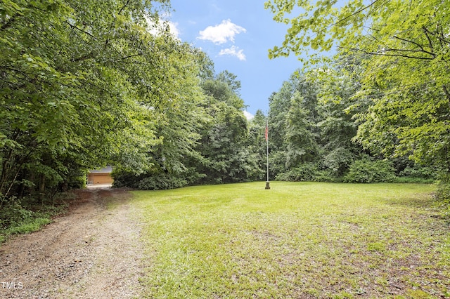 9505 Neils Branch Rd, Raleigh, NC 27603 - photo 36