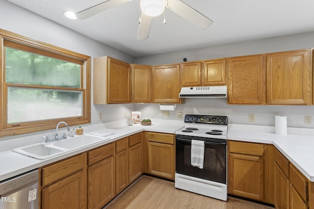 9505 Neils Branch Rd, Raleigh, NC 27603 - photo 18
