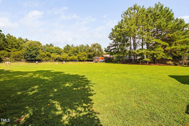 1824 Ferrell Meadows Dr, Zebulon, NC 27597 - view of yard