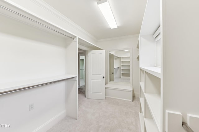 528 Bankhead Dr, Cary, NC 27519 - walk in closet featuring light colored carpet