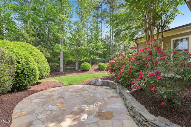 528 Bankhead Dr, Cary, NC 27519 - view of yard featuring a patio area