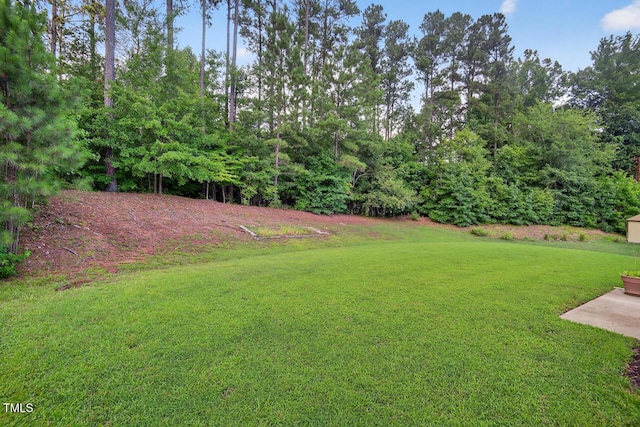 5 Ocean Ct, Durham, NC 27704 - view of green lawn