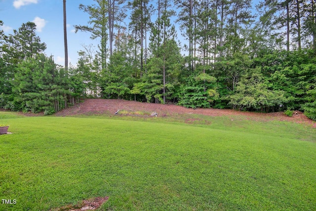 5 Ocean Ct, Durham, NC 27704 - view of green lawn