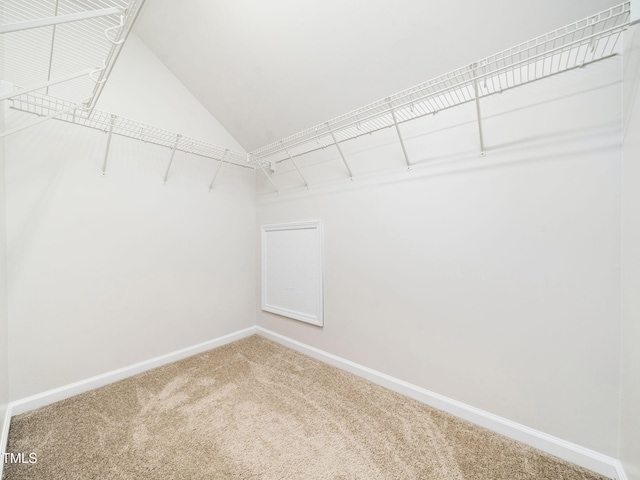 5621 Advantis Dr, Raleigh, NC 27610 - photo 36