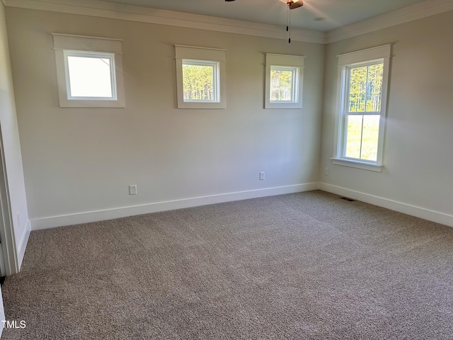 163 Noramac Ct, Selma, NC 27576 - unfurnished room with crown molding, carpet, and ceiling fan