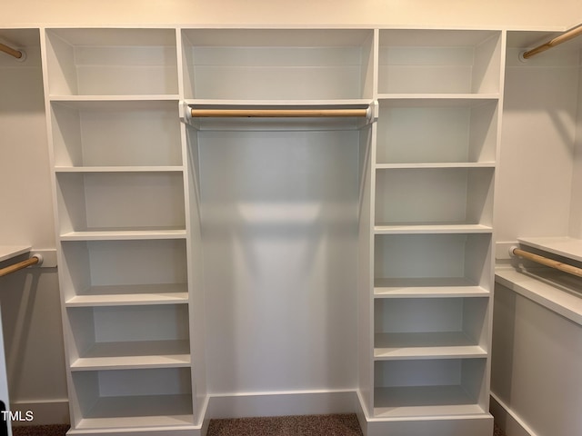 163 Noramac Ct, Selma, NC 27576 - view of walk in closet