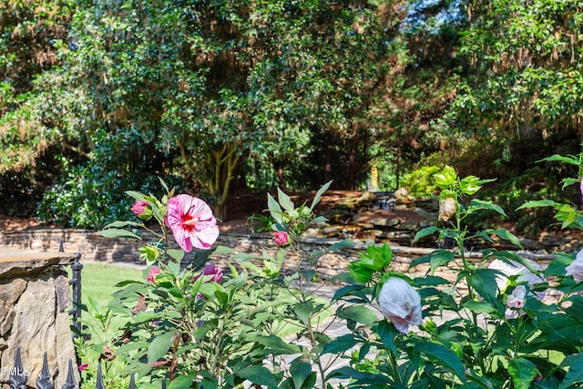 12325 Cilcain Ct, Raleigh, NC 27614 - photo 7