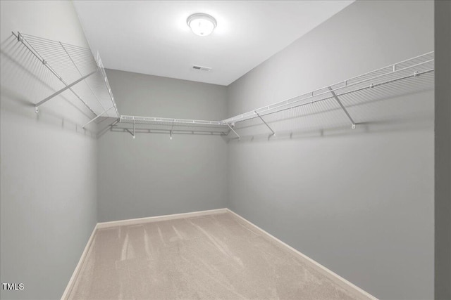 205 Willow Ridge Dr, Louisburg, NC 27549 - walk in closet featuring carpet