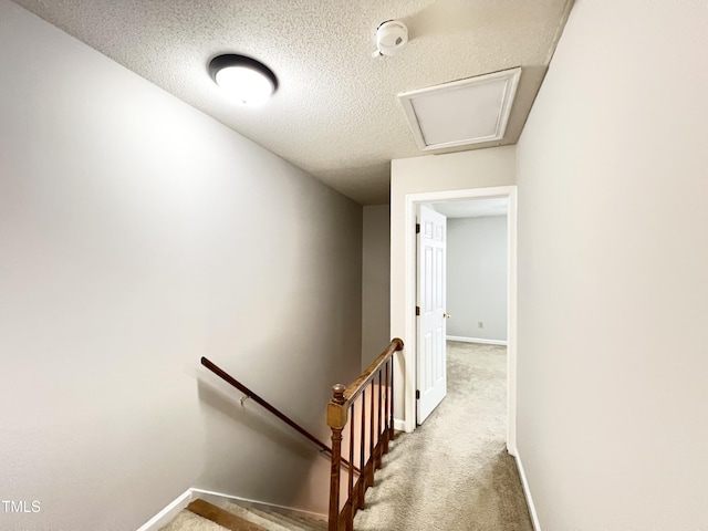 2206 Alpine Rd, Durham, NC 27707 - hall featuring an upstairs landing, carpet flooring, and a textured ceiling