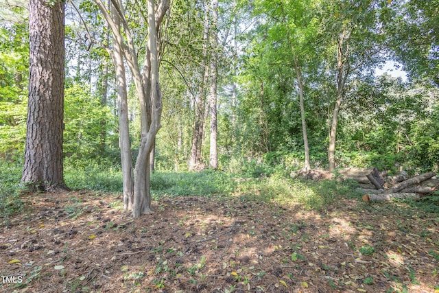 2506 N Duke St, Durham, NC 27704 - photo 38