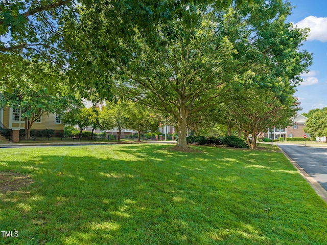 2506 Happy Ln, Raleigh, NC 27614 - view of yard