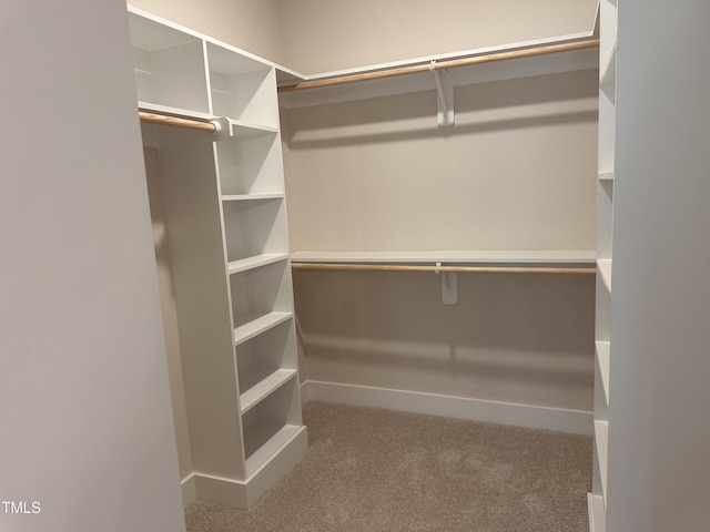 141 Noramac Ct, Selma, NC 27576 - spacious closet featuring carpet floors