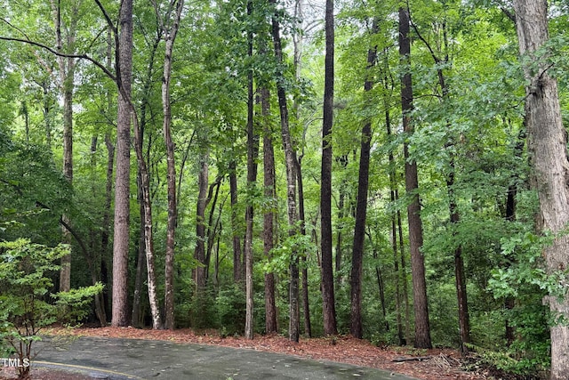 3124 Sand Wedge, Sanford, NC 27332 - photo 2